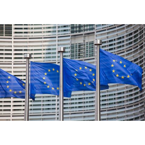 Hosszú vajúdás – Az EU Alapjogi Chartájának margójára