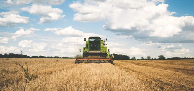Sérti az uniós jogot a mezőgazdasági termékek árszabályozása