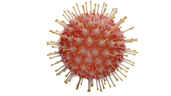 koronavírus-járvány, Covid, influenzajárvány, madárinfluenza, tisztifőorvos, Nemzeti Népegészségügyi és Gyógyszerészeti Központ (pixabay)
